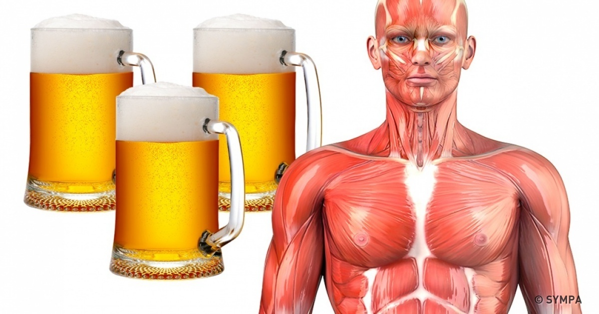 Nous avons découvert ce qui arrive à ton corps si tu bois de la bière régulièrement