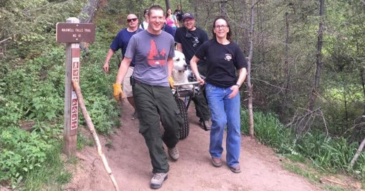 Un chien trop fatigué doit être sauvé par les pompiers après avoir entrepris une randonnée