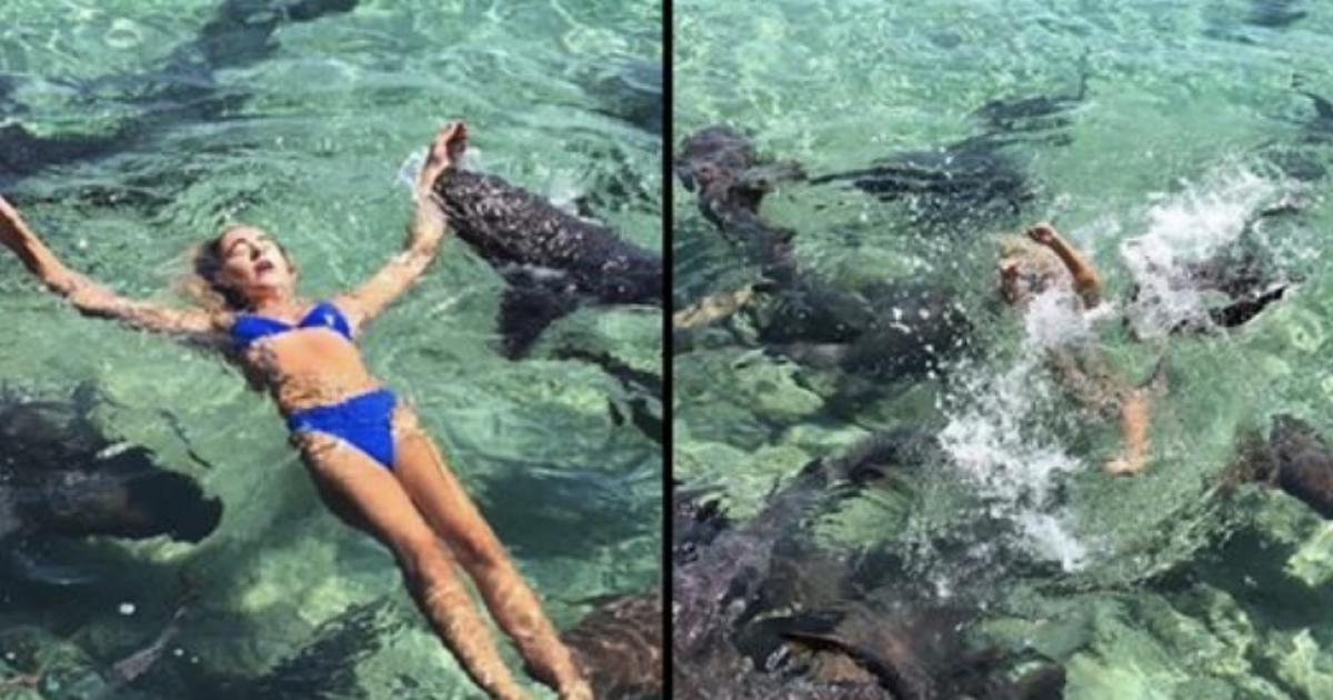 Une mannequin attaquée par un requin lors d’un shooting photo au Bahamas.