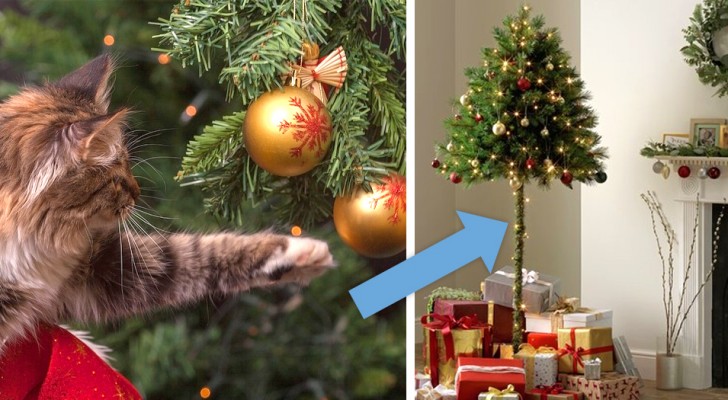 Une entreprise anglaise vend des demi sapins de Noël pour les personnes qui ont des animaux malicieux à la maison