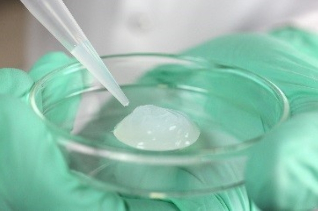 Bientôt des implants cérébraux à base d’hydrogel ? – SciencePost