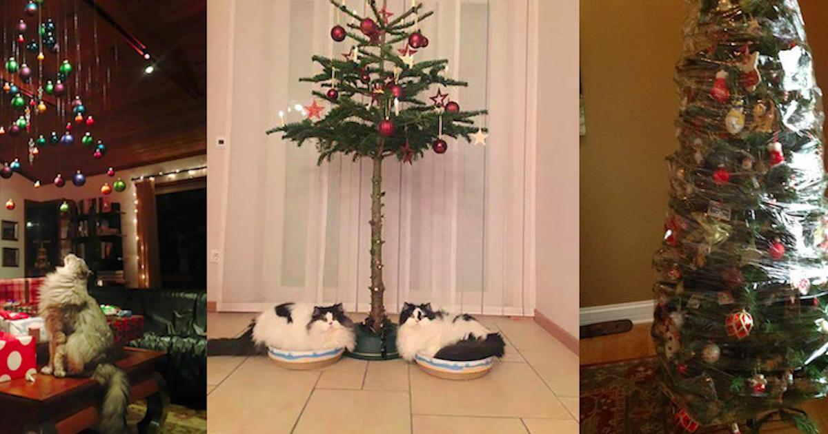 24 photos qui montrent les mesures prises par des propriétaires d’animaux pour protéger leurs sapins de Noël!