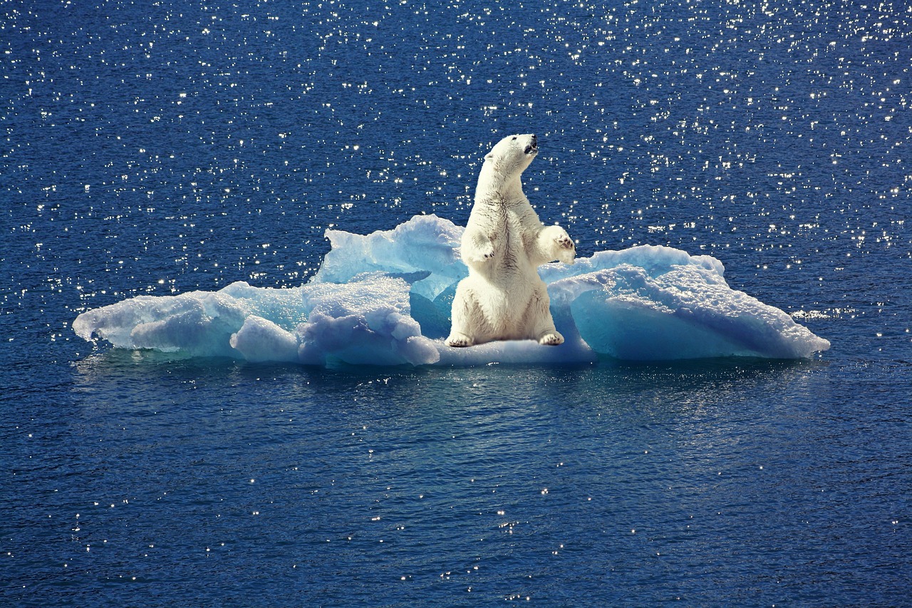 C’est officiel : on ne peut plus rien faire pour sauver l’Arctique
