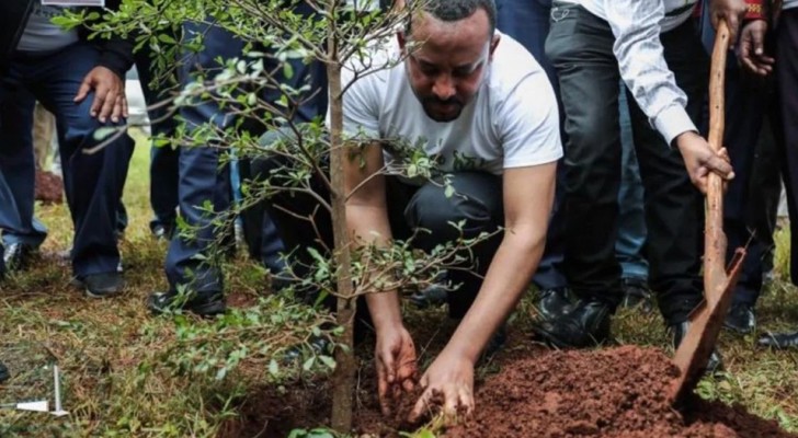 Plus de 350 millions d’arbres plantés en Ethiopie en une journée pour lutter contre le changement climatique