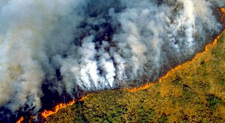 L’Amazonie est en feu et la fumée causée par les incendies est même visible de l’espace