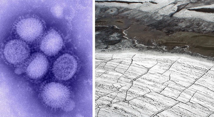 La fonte du pergélisol réactive des virus et des bactéries qui semblaient exterminés à jamais
