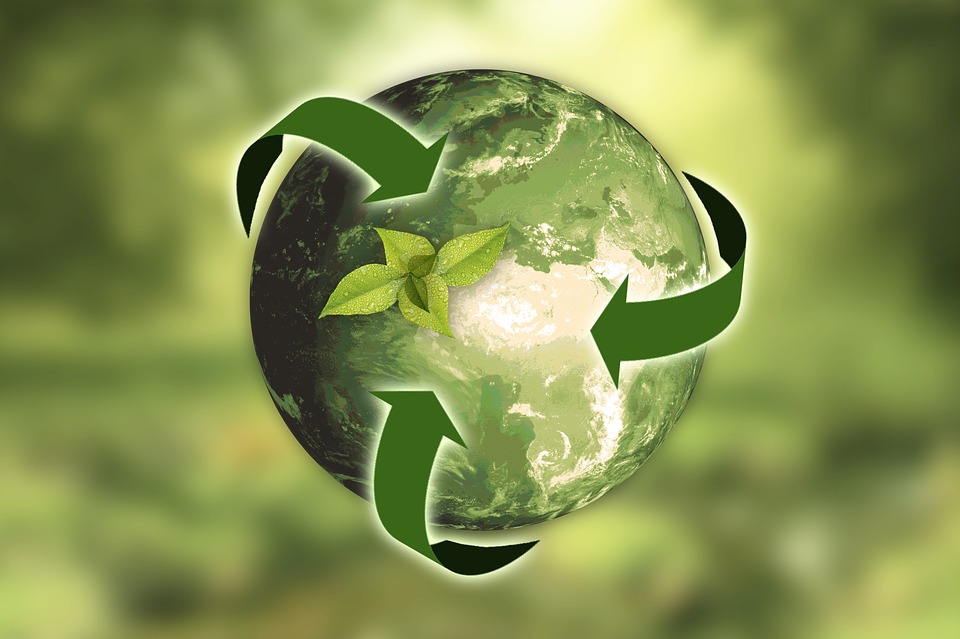 Compostables, biodégradables : comment repérer les produits vraiment écologiques ?