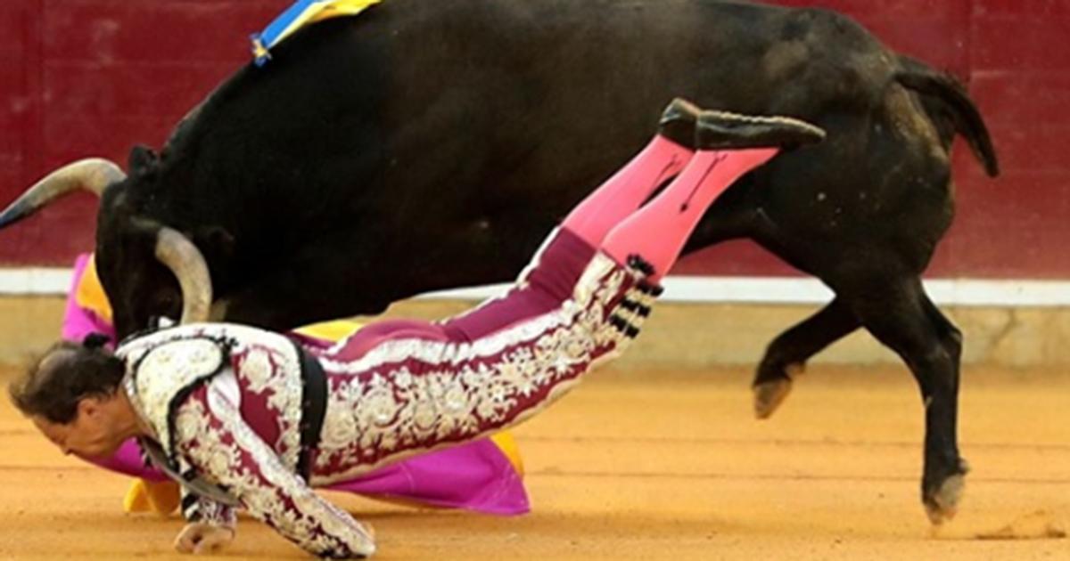 Un matador lutte pour sa vie après être devenu la cible d’un taureau sous les yeux horrifiés des spectateurs