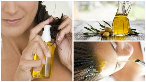 Embellir les cheveux avec de l(huile d’oilve – Améliore ta Santé