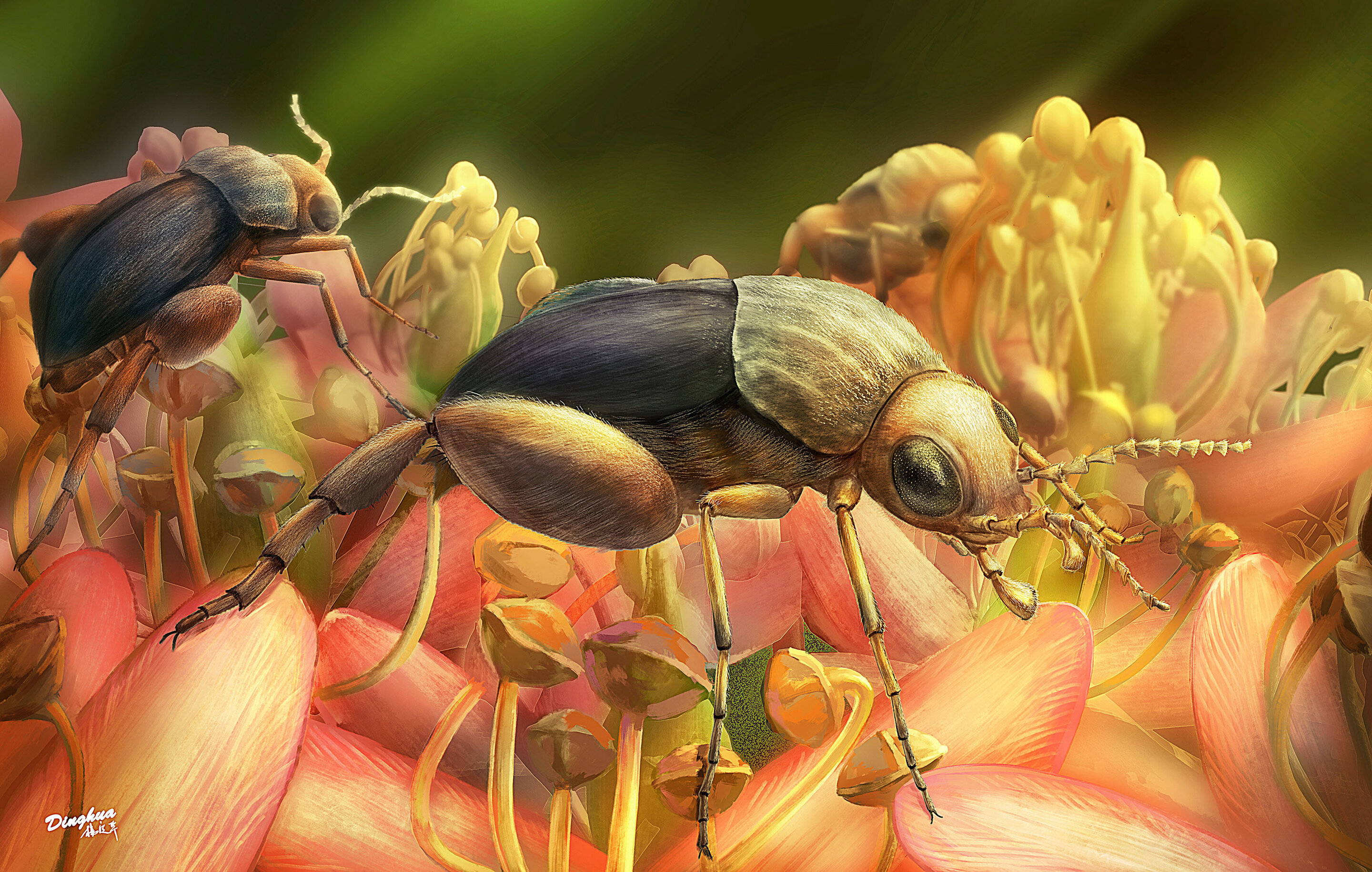 Découverte du plus ancien insecte pollinisateur