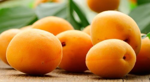Découvrez les bienfaits incroyables de l’abricot — Améliore ta Santé