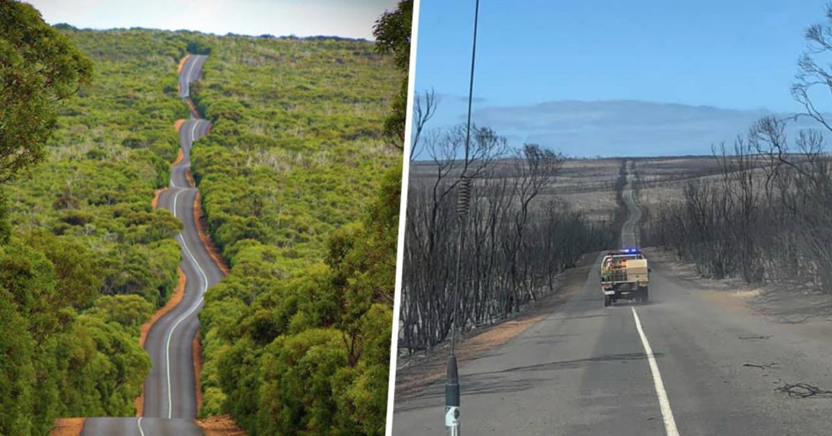 Ces photos montrent des paysages australiens avant et après les feux de forêt