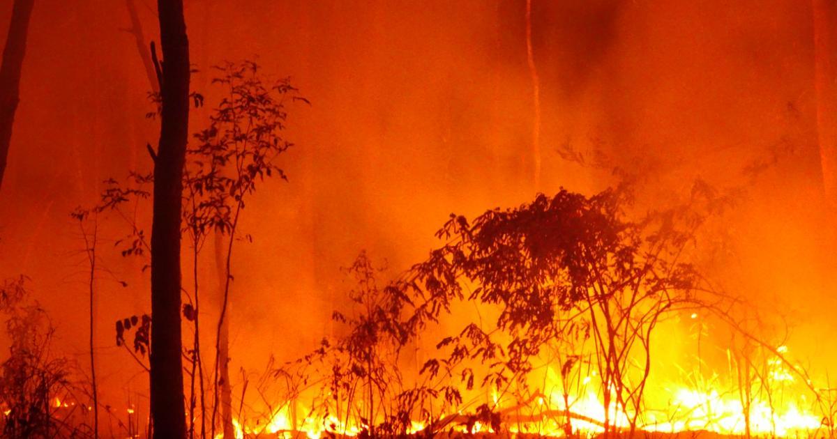 24 personnes ont été arrêtées en Australie pour incendie volontaire