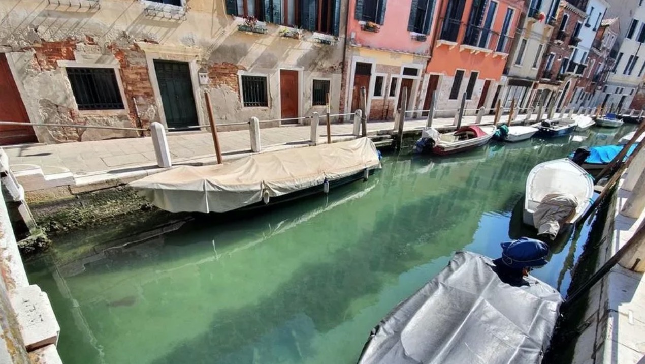 Confinement : à Venise, les eaux ont retrouvé leur clarté et les poissons reviennent