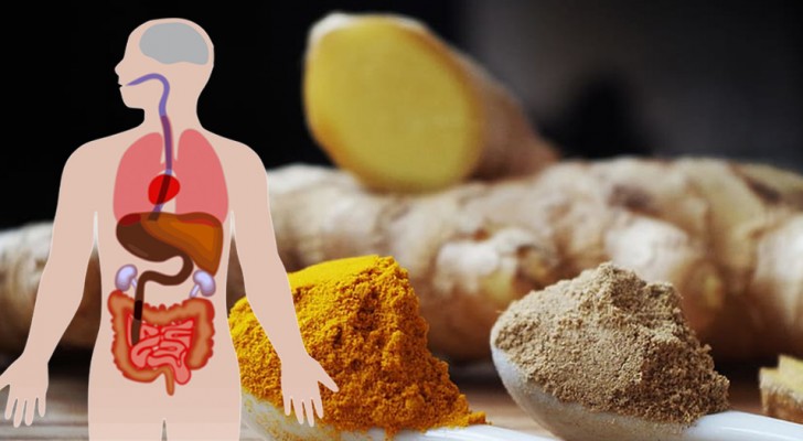 Infusion au gingembre et au curcuma : une boisson digestive contre les inflammations, amie de notre système immunitaire