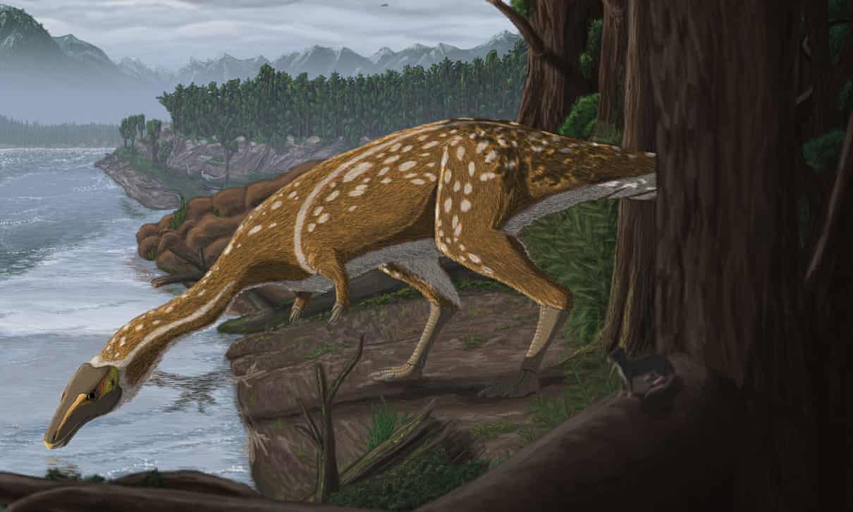 Paléontologie : un dinosaure très rare découvert en Australie