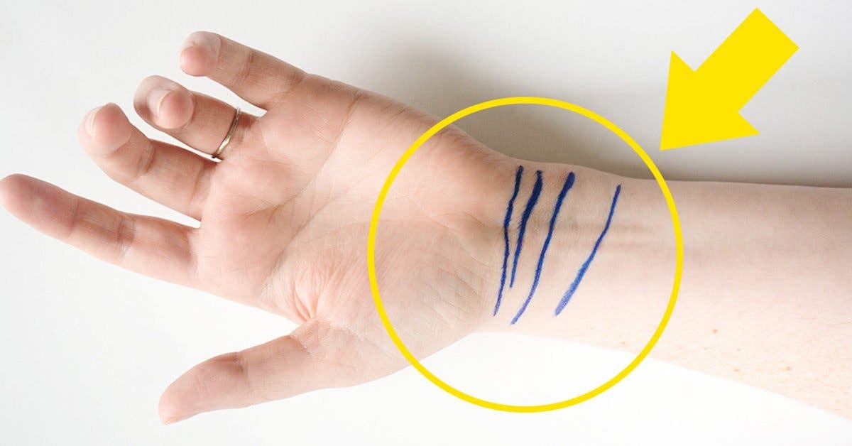 Ces 4 lignes sur votre poignet révèlent votre état de santé et votre avenir d’après la chiromancie