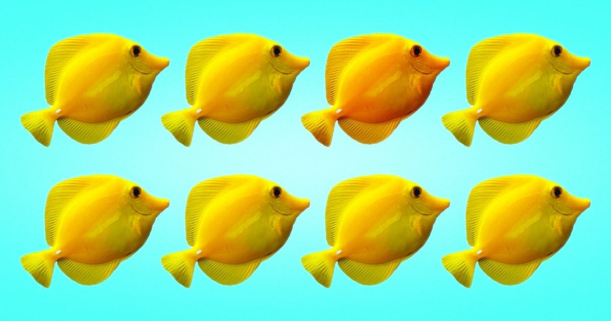 Test : Peux-tu identifier lequel de ces poissons est de couleur diffÃ©rente ?