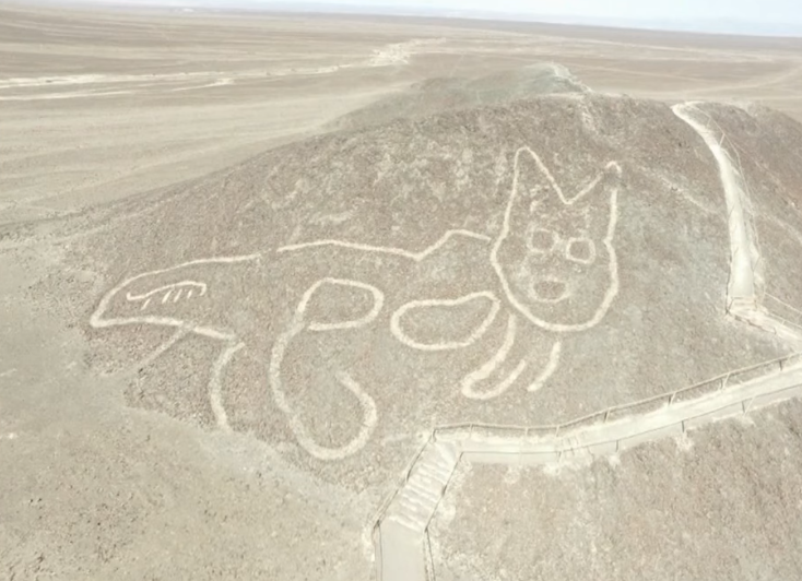 Un géoglyphe de chat découvert dans le désert de Nazca !