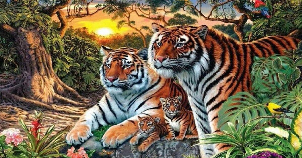 Seules les personnes les plus fortes pourront retrouver les 16 tigres sur cette image. Le pouvez-vous ?