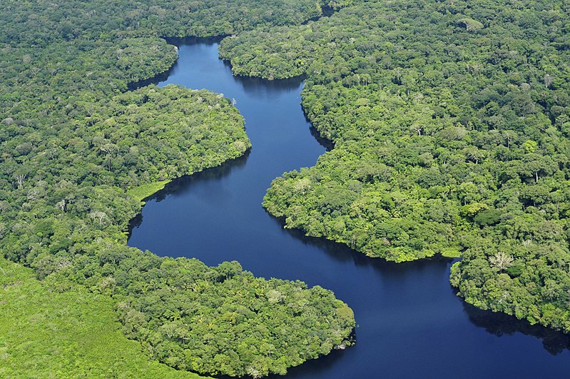 L’Amazonie, important vivier de médicaments actuels et à venir