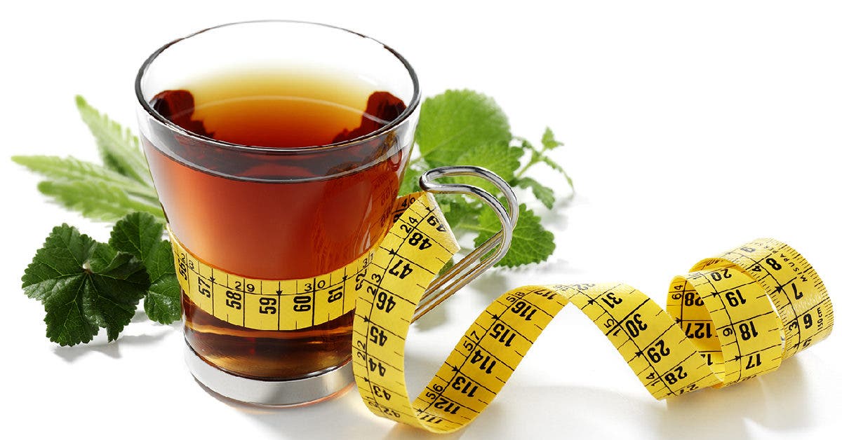 Apprenez à perdre du poids avec 5 thés détox qui stimulent le métabolisme