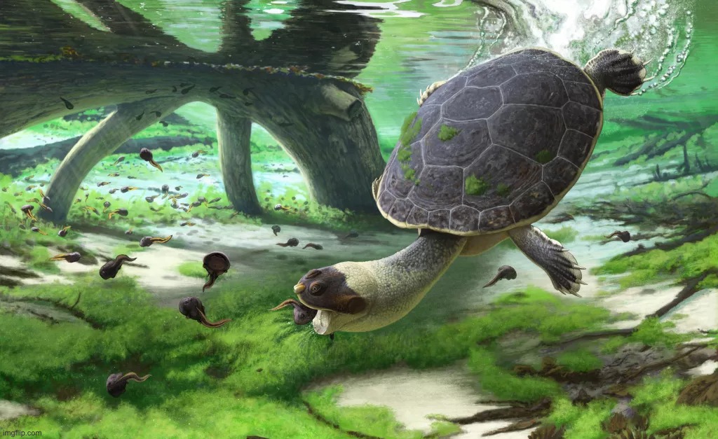 Découverte : une tortue du crétacé qui aspirait ses proies