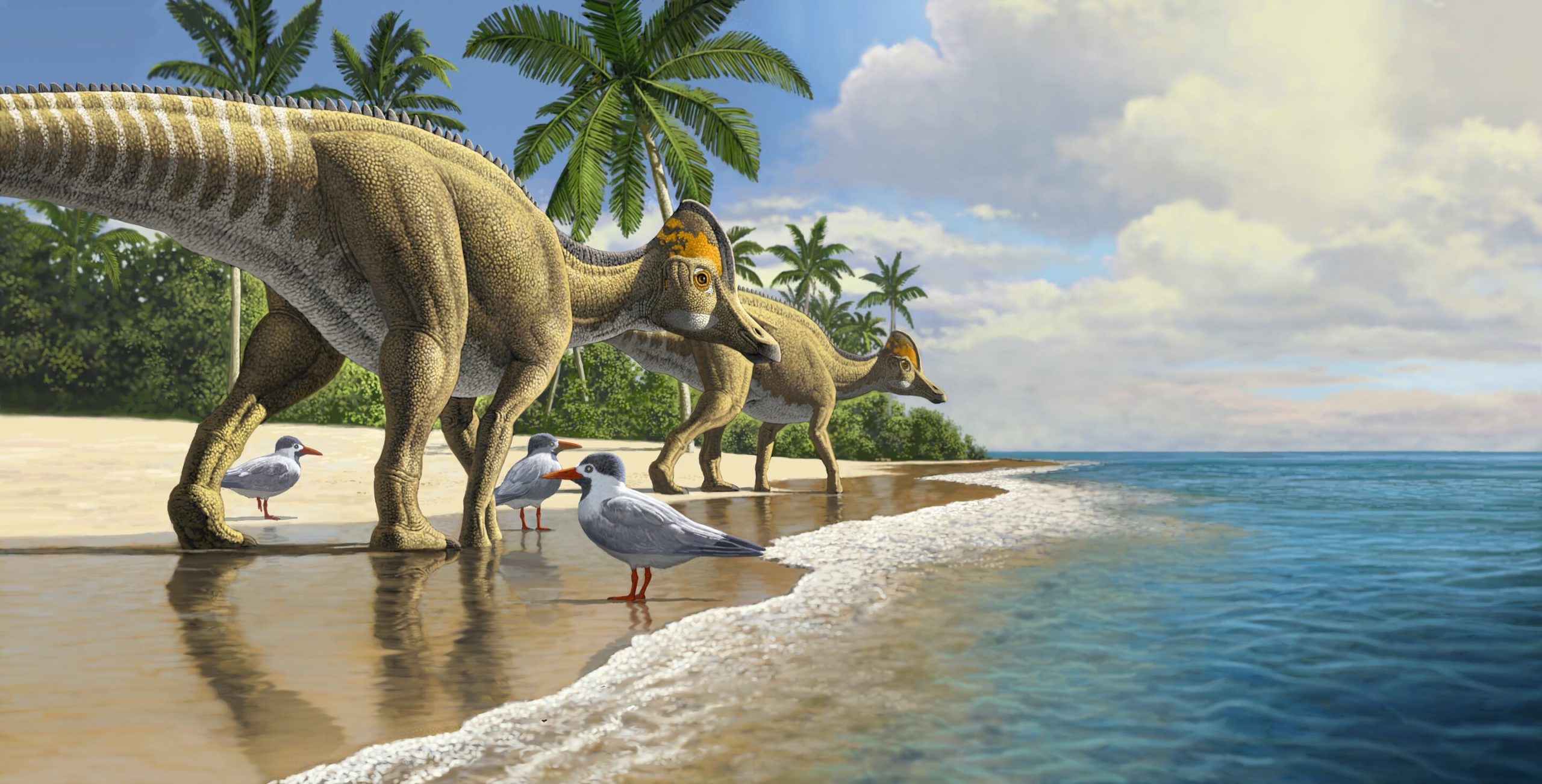 Les dinosaures vivaient avec des étés bien plus chauds que prévu