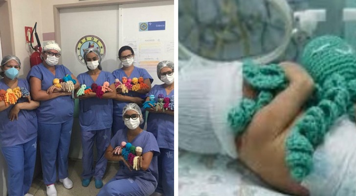Ces infirmières créent d’adorables pieuvres en peluche pour aider les bébés prématurés et gravement malades