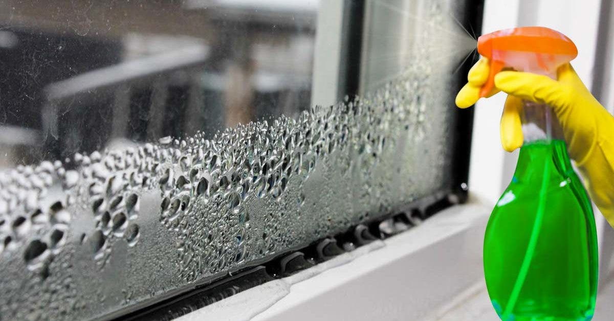 Comment ne plus avoir de condensation sur les vitres ? 5 astuces simples et efficaces