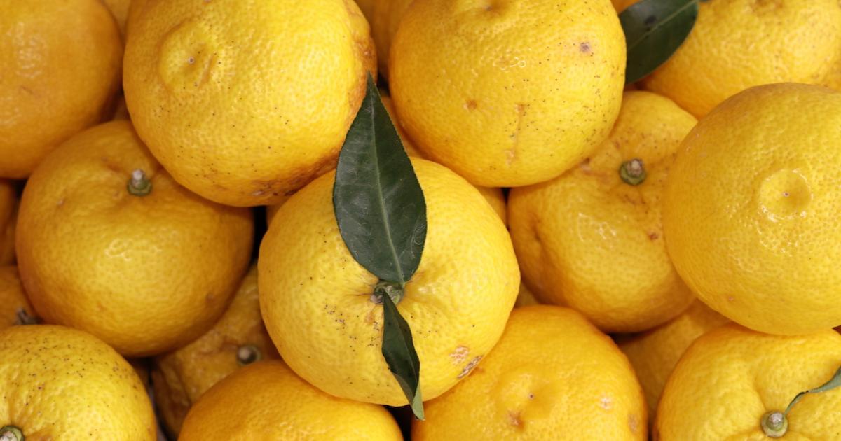 7 preuves que le citron est votre meilleur ami