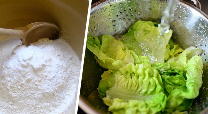 Est-il vraiment utile de laver la salade avec du bicarbonate de soude ? Une recherche fait le point