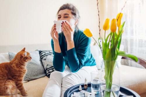 Les diffÃ©rents types de mÃ©dicaments utilisÃ©s pour traiter les allergies