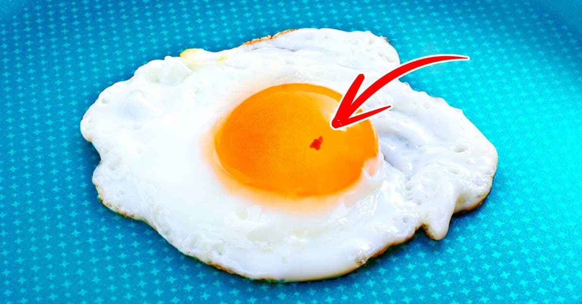 Avez-vous déjà remarqué des petites taches rouges sur les œufs ? Ne les jetez pas, il y a une explication à cela