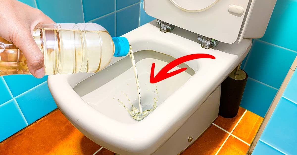 Pourquoi verser du vinaigre dans les toilettes une fois par mois ? Une astuce méconnue qui vaut la peine d’être essayé