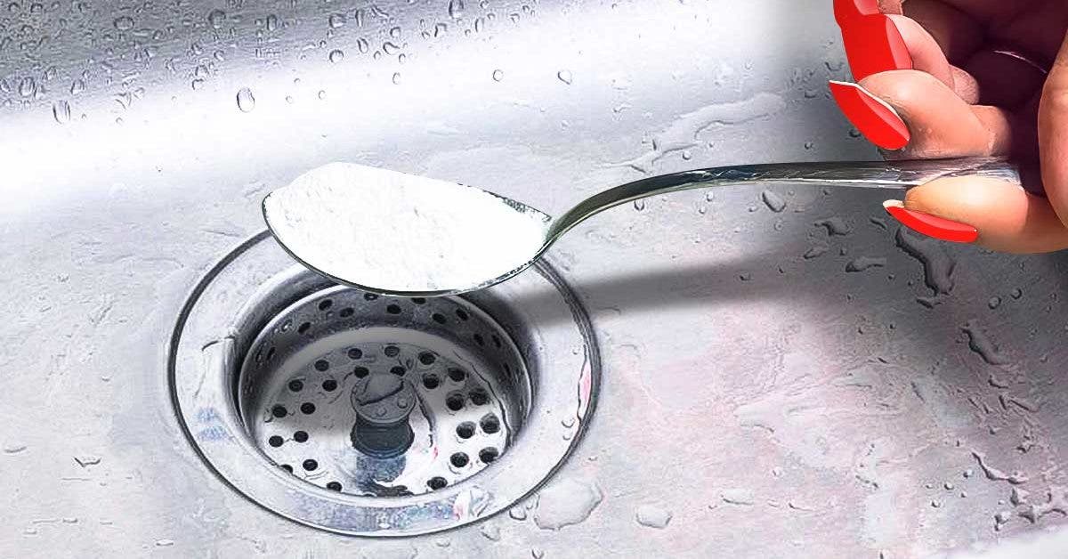 L’astuce des plombiers pour déboucher les canalisations et éradiquer les mauvaises odeurs