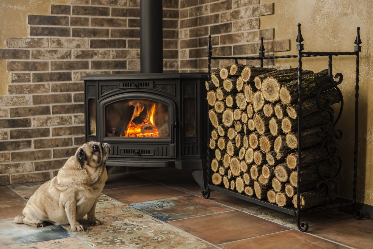 6 types de bois à ne jamais brûler dans votre cheminée ou poêle
