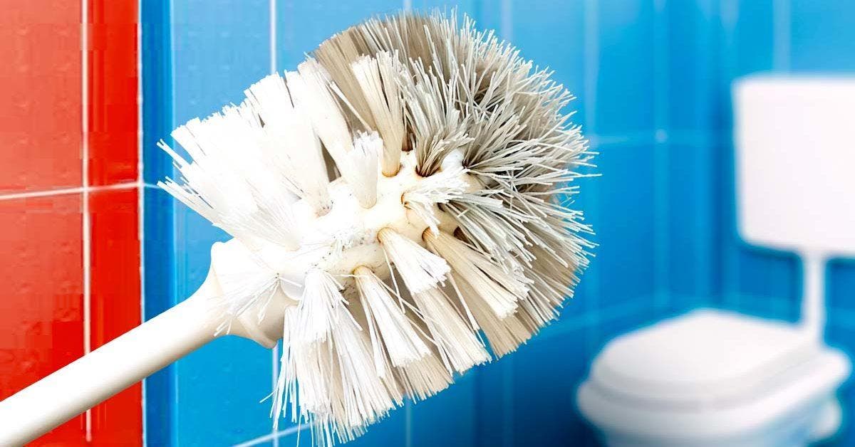 L’astuce économique et facile pour nettoyer la brosse des WC en 5 minutes : élimine les germes et les bactéries