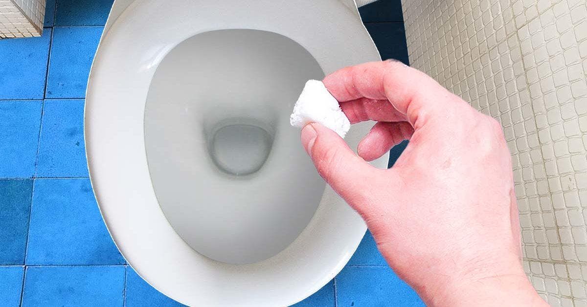 Comment réaliser des boules nettoyantes pour les toilettes ?