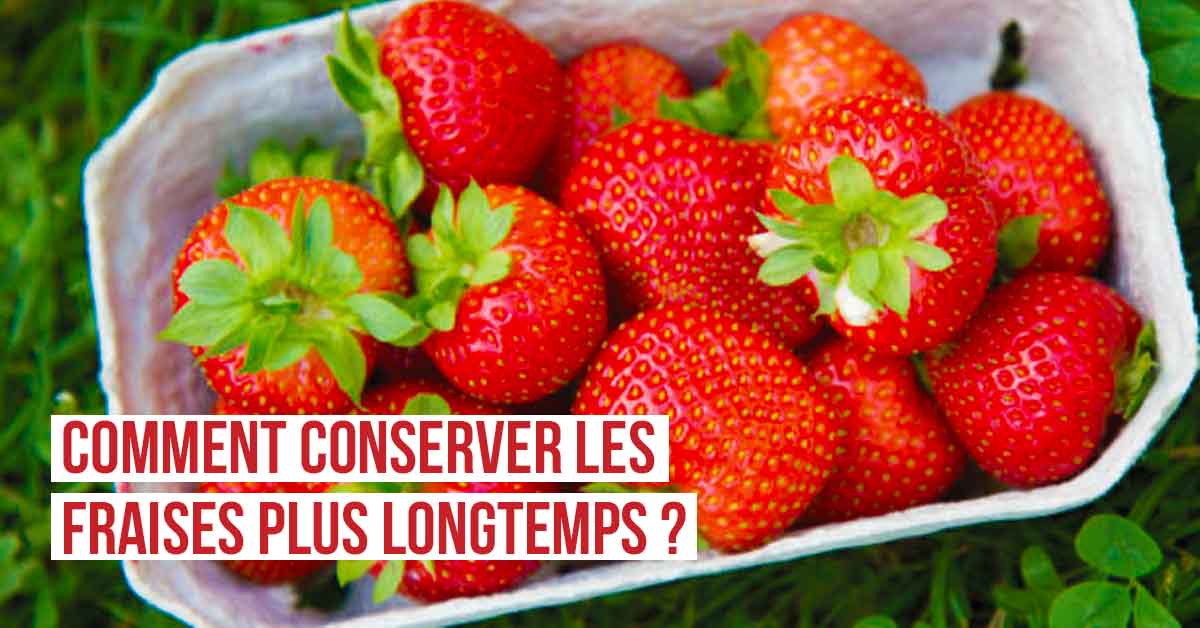 Comment conserver les fraises plus longtemps ?