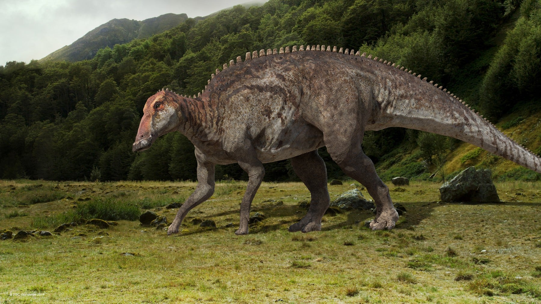 Un dinosaure à la peau fossilisée découvert dans le Montana