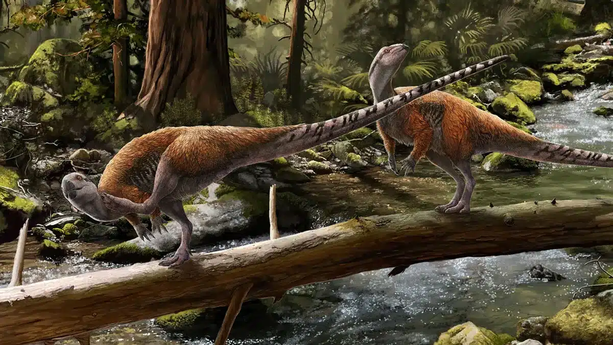 Que sait-on de ce nouveau dinosaure découvert en Angleterre ?